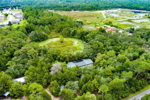 Villa ou maison à vendre à Hudson, Floride: 9 chambres, 384.62 m2 № 1343208 - photo 8