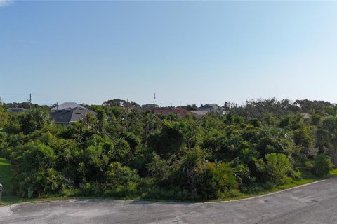 Land in Palm Coast, Florida № 1318496 - photo 1