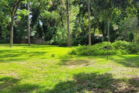 Terreno en venta en Tampa, Florida № 1373982 - foto 4