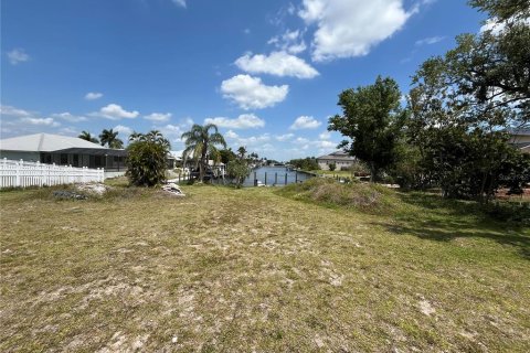 Land in Port Charlotte, Florida № 1297045 - photo 17