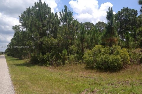 Terrain à vendre à Sarasota, Floride № 162356 - photo 1