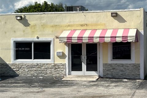 Immobilier commercial à vendre à Pembroke Pines, Floride № 720437 - photo 3
