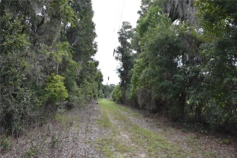 Land in Hawthorne, Florida № 1336564 - photo 23