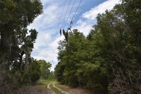 Terreno en venta en Hawthorne, Florida № 1336564 - foto 3