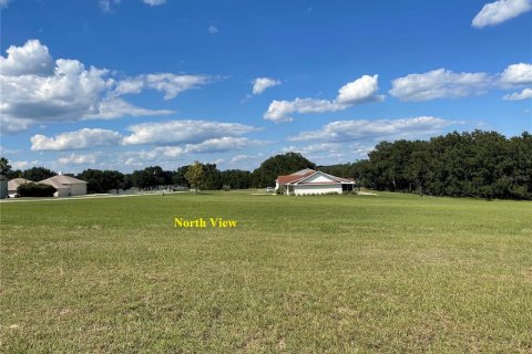 Terreno en venta en Weirsdale, Florida № 1336828 - foto 3