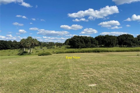 Terreno en venta en Weirsdale, Florida № 1336828 - foto 4