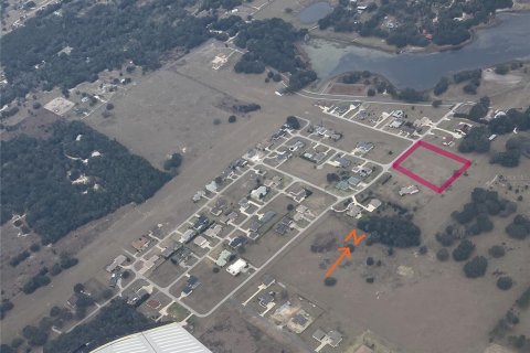 Land in Weirsdale, Florida № 1336828 - photo 2