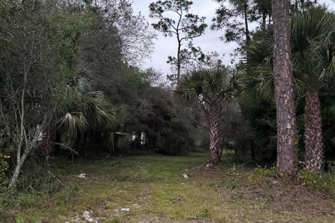 Terreno en venta en Clewiston, Florida № 1014169 - foto 7