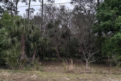 Terreno en venta en Clewiston, Florida № 1014169 - foto 6
