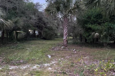 Terreno en venta en Clewiston, Florida № 1014169 - foto 3