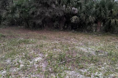 Terreno en venta en Clewiston, Florida № 1014169 - foto 9