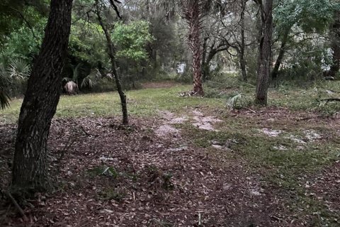 Land in Clewiston, Florida № 1014169 - photo 2