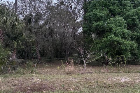 Land in Clewiston, Florida № 1014169 - photo 4