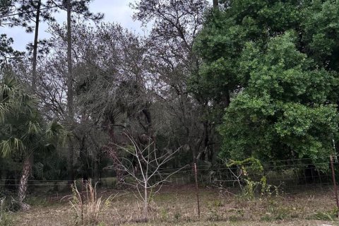 Land in Clewiston, Florida № 1014169 - photo 5