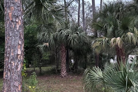 Terreno en venta en Clewiston, Florida № 1014169 - foto 11