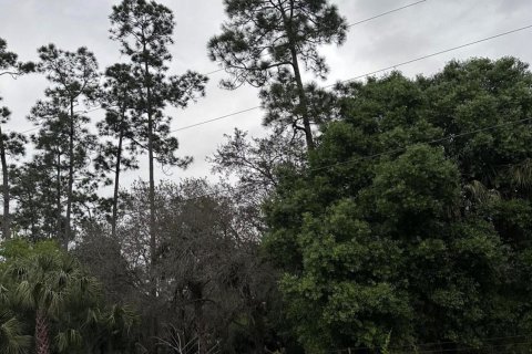 Terreno en venta en Clewiston, Florida № 1014169 - foto 13