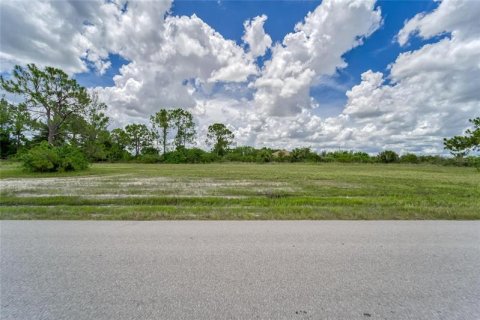 Land in Cape Coral, Florida № 219513 - photo 5