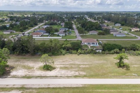 Land in Cape Coral, Florida № 219513 - photo 23