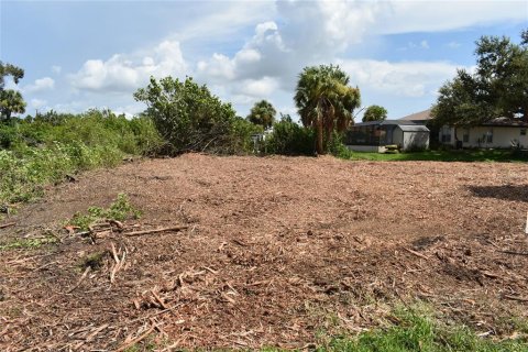 Купить земельный участок в Порт-Шарлотт, Флорида № 217653 - фото 12