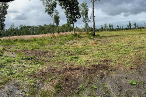 Land in Umatilla, Florida № 1280259 - photo 2