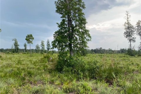 Land in Umatilla, Florida № 1280259 - photo 5