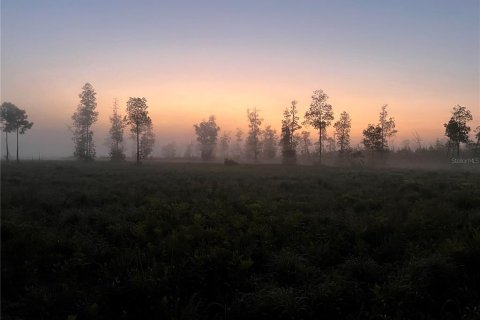 Land in Umatilla, Florida № 1280259 - photo 4