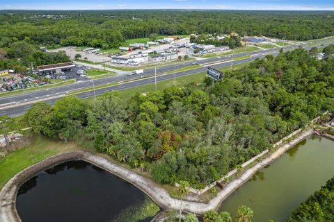 Land in Hudson, Florida № 1280261 - photo 7