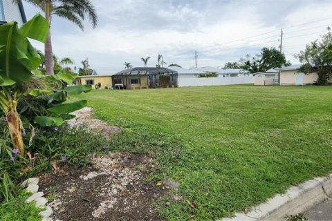 Land in Punta Gorda, Florida № 550090 - photo 2