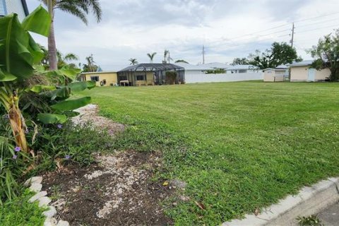 Terreno en venta en Punta Gorda, Florida № 550090 - foto 3