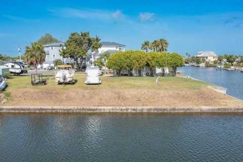 Land in Hernando Beach, Florida № 1295288 - photo 10