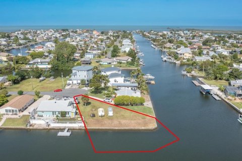 Terreno en venta en Hernando Beach, Florida № 1295288 - foto 1