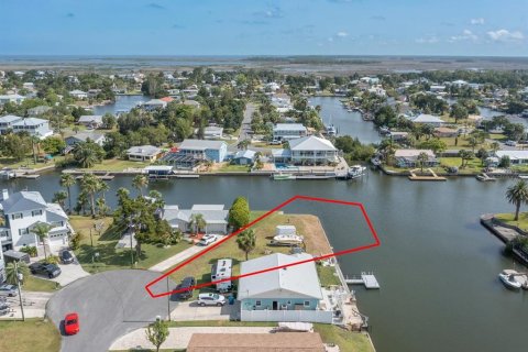 Land in Hernando Beach, Florida № 1295288 - photo 20