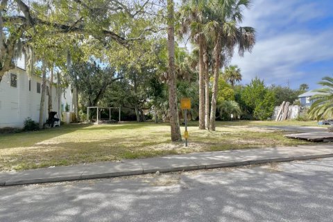 Terreno en venta en Saint Augustine, Florida № 808139 - foto 2