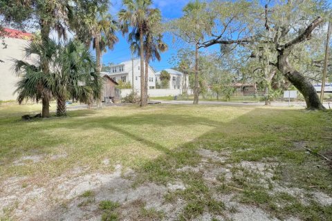 Terrain à vendre à Saint Augustine, Floride № 808139 - photo 6