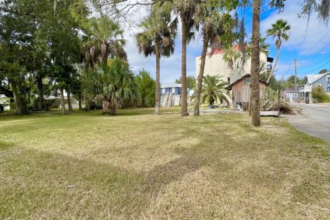 Terreno en venta en Saint Augustine, Florida № 808139 - foto 5