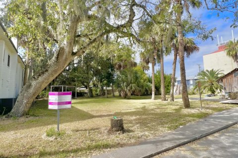 Terreno en venta en Saint Augustine, Florida № 808139 - foto 3