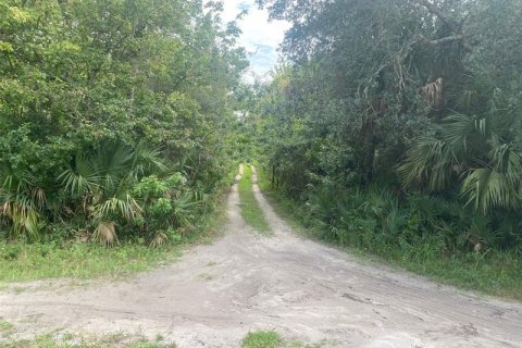 Купить земельный участок в Коко, Флорида № 221953 - фото 4