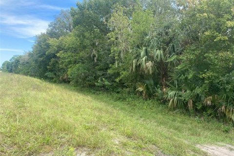Купить земельный участок в Коко, Флорида № 221953 - фото 5