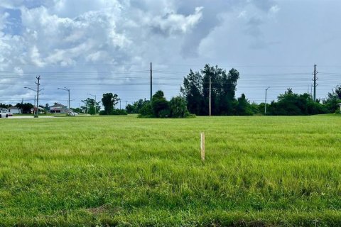 Terreno en venta en Cape Coral, Florida № 1354364 - foto 3