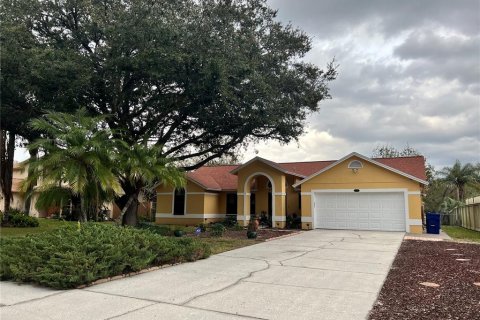 Villa ou maison à vendre à Lutz, Floride: 4 chambres, 196.77 m2 № 1015840 - photo 1