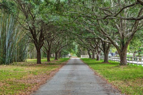 Land in Southwest Ranches, Florida № 1182671 - photo 10