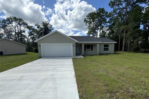 Casa en alquiler en Ocklawaha, Florida, 3 dormitorios, 122.91 m2 № 1378291 - foto 1