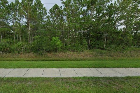 Terreno en venta en Orlando, Florida № 1427747 - foto 1