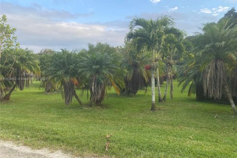 Terrain à vendre à Davie, Floride № 782076 - photo 4