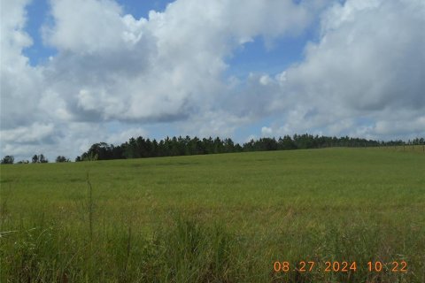 Land in Bell, Florida № 1379425 - photo 4