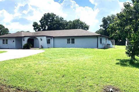 House in Tampa, Florida 3 bedrooms, 345.13 sq.m. № 1347372 - photo 5