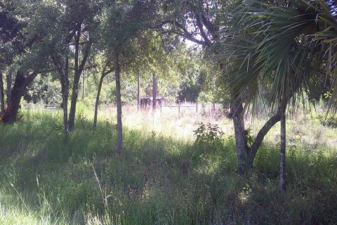 Land in Okeechobee, Florida № 1279120 - photo 3