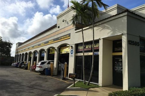 Купить готовый бизнес в Санрайз, Флорида № 40536 - фото 7