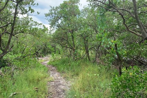 Land in Englewood, Florida № 238091 - photo 15