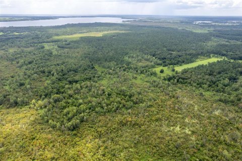 Land in Umatilla, Florida № 1339036 - photo 20